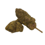 Fleur CBD SWEET BOOM - The Hemp Corner